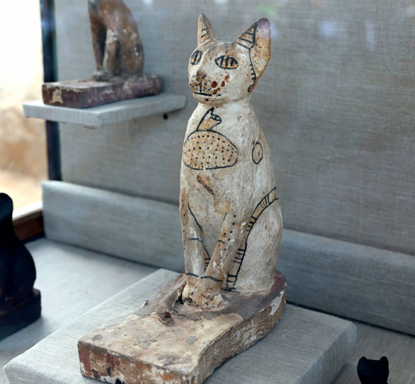 SNAPSHOT: Dozens of Egyptian Cat Mummies Uncovered