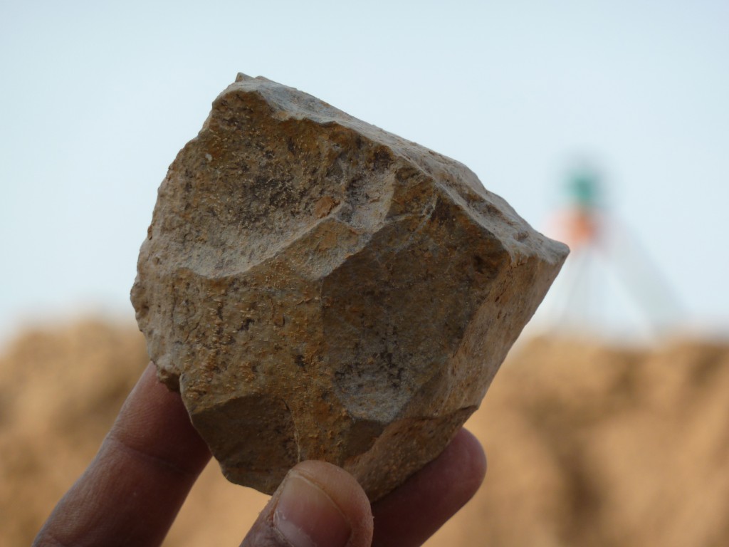 Tool And Butchery Site in Algeria Is 2.4 Million Years Old