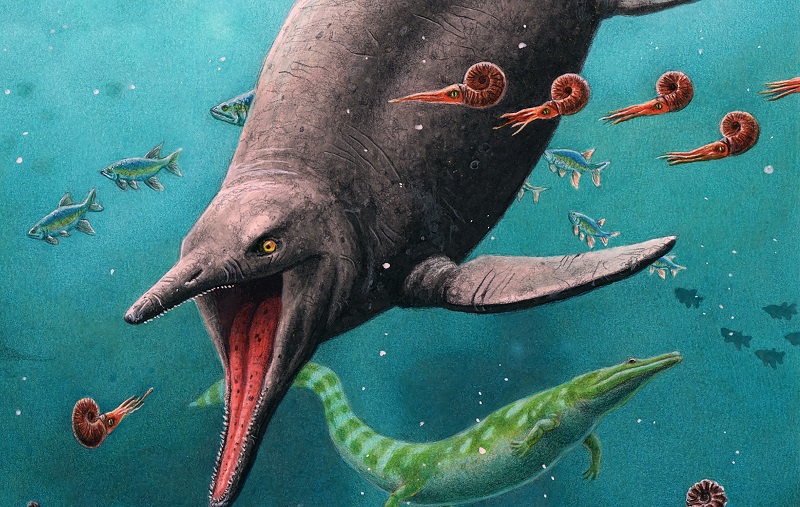 Did a Swimming Lizard Predate the Dinosaurs?