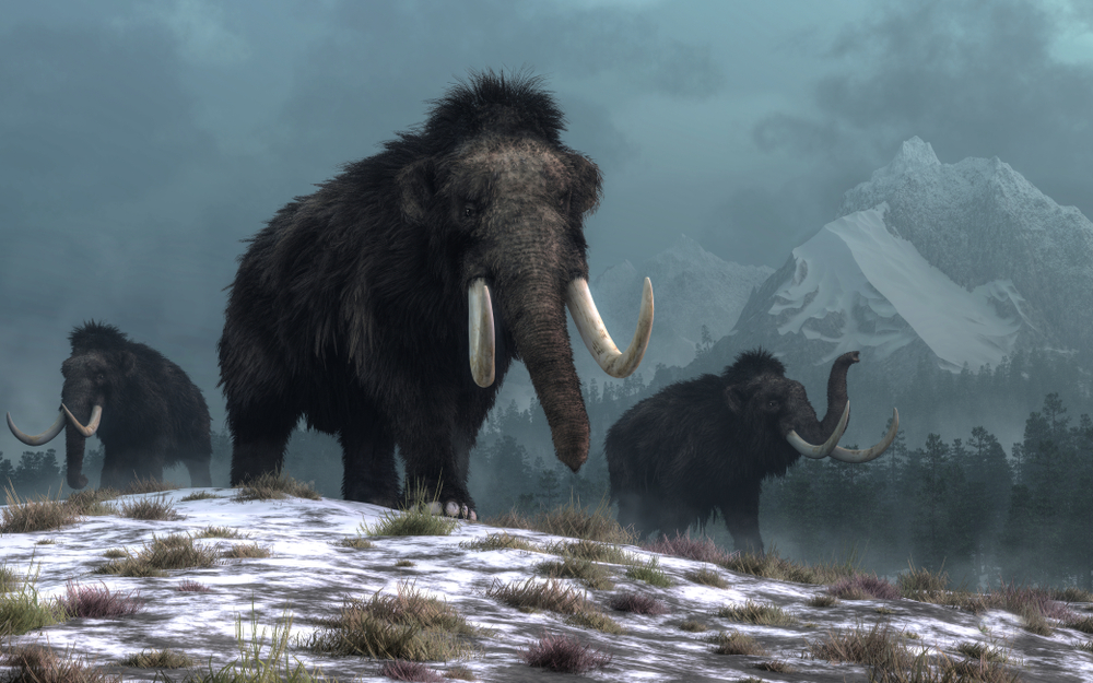 The Woolly Mammoth Meatball Could Kick Off a Trend of Eating Extinct Meats