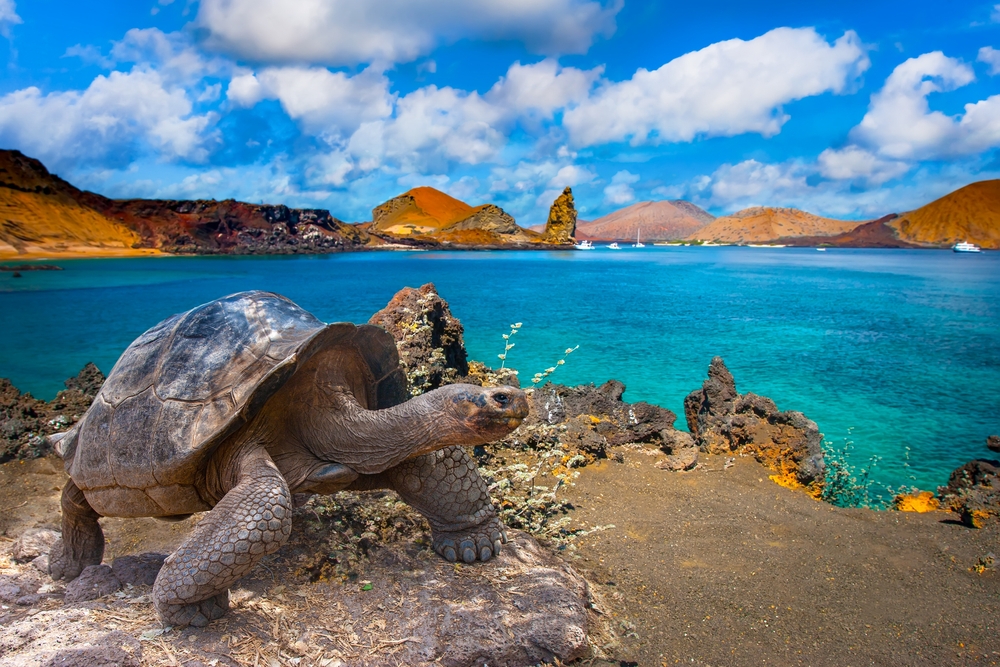 Why Is Darwin Island in the Galapagos Off-Limits to Visitors?