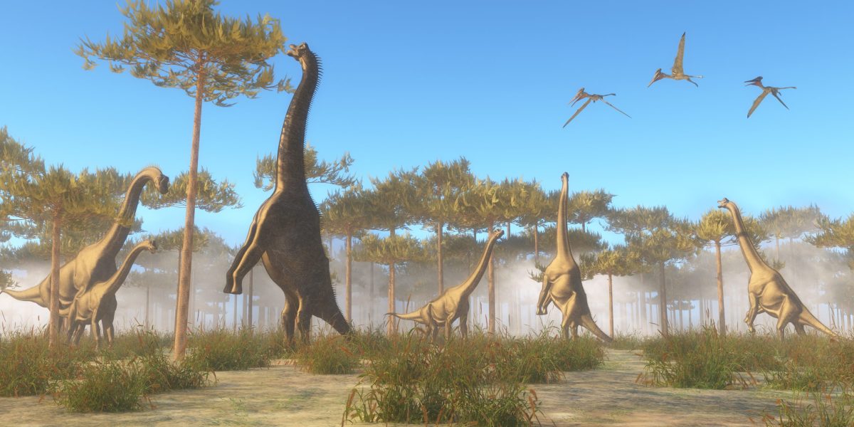 What Can Plant-Eating Dinosaurs Teach Us?