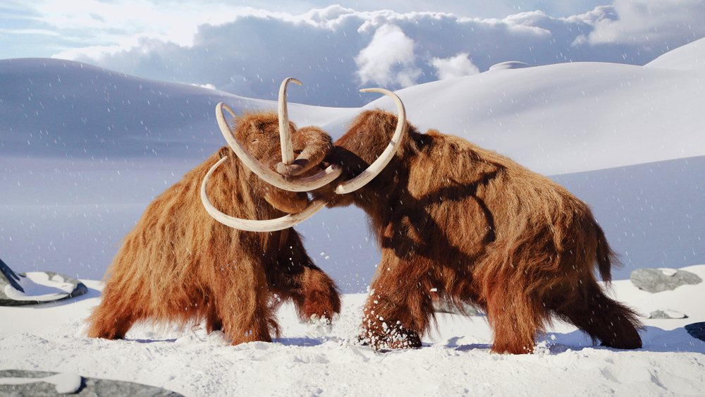 Lost Genes Show How Woolly Mammoths Evolved