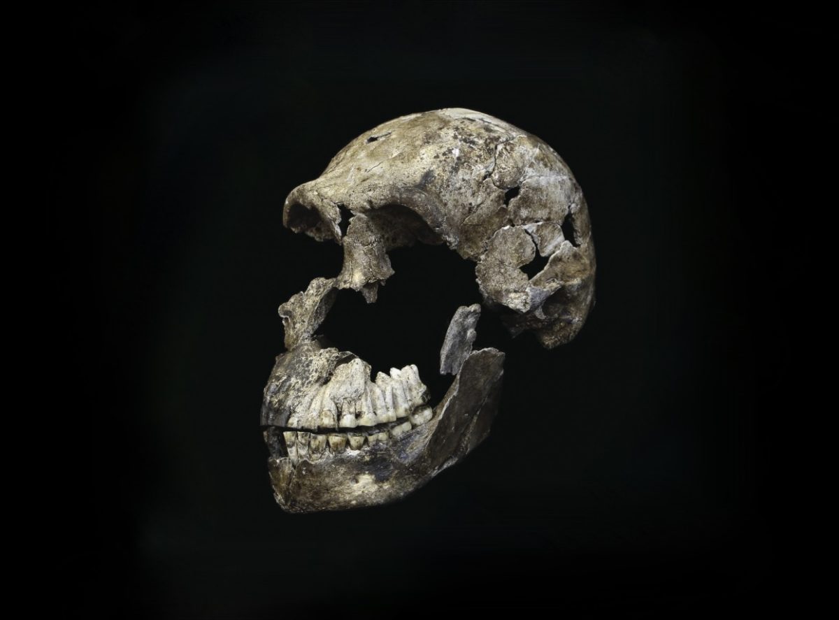 Were These 335,000-Year-Old Hominins The First to Bury Their Dead?