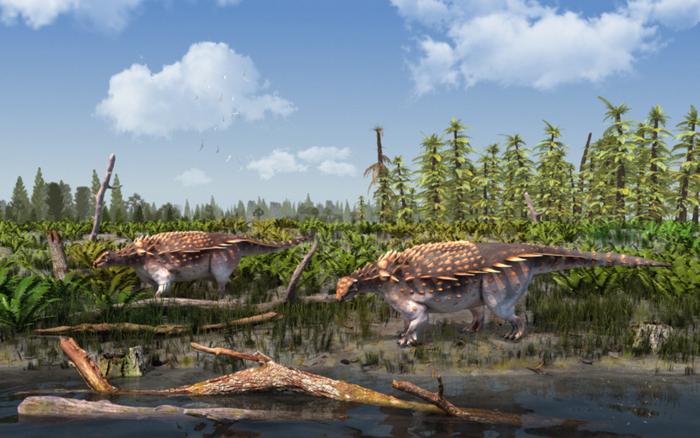 New Armored Dinosaur Species Roamed Earth Up to 145 Million Years Ago