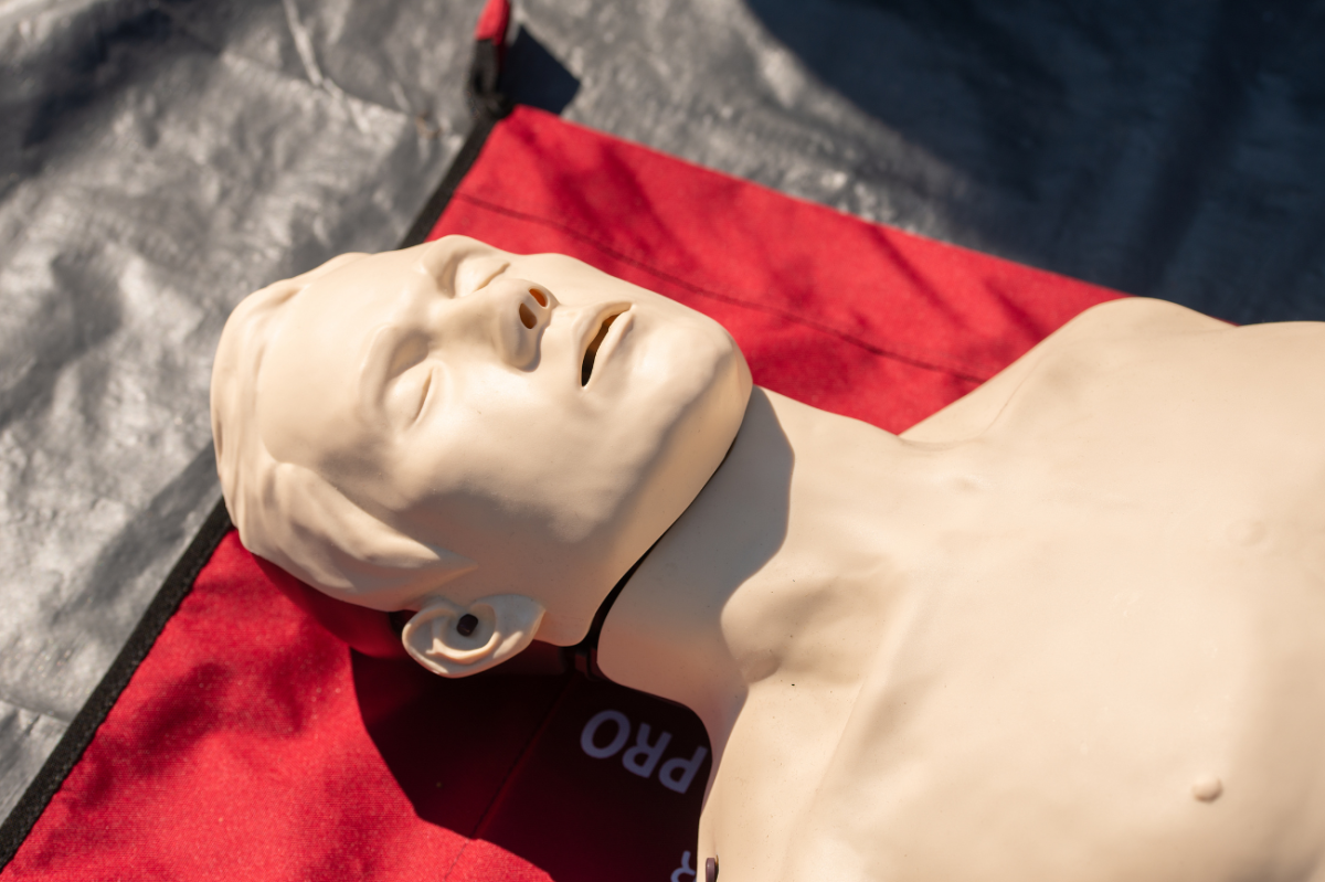 How a Parisian Death Mask Became the Face of CPR Dolls Everywhere
