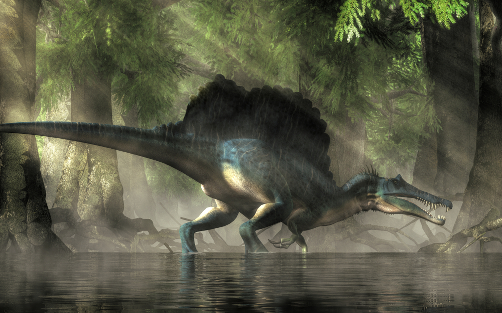 Could Spinosaurus Really Take On T. rex? And Other Facts