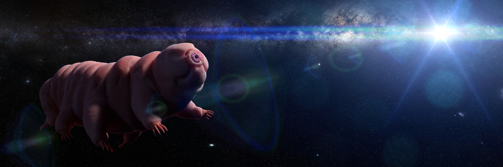 Can the Cute Tardigrade Survive in Space?