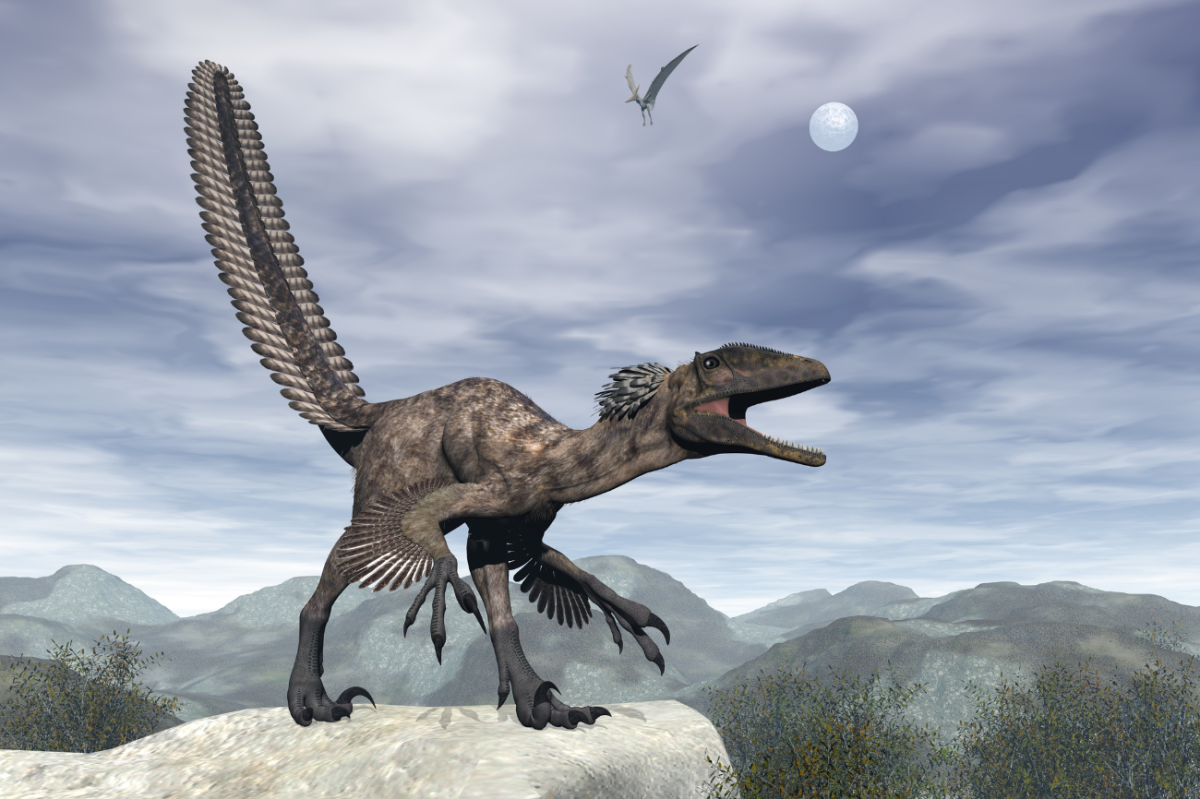 The Real-Life Inspiration Behind the ‘Jurassic Park’ Velociraptors
