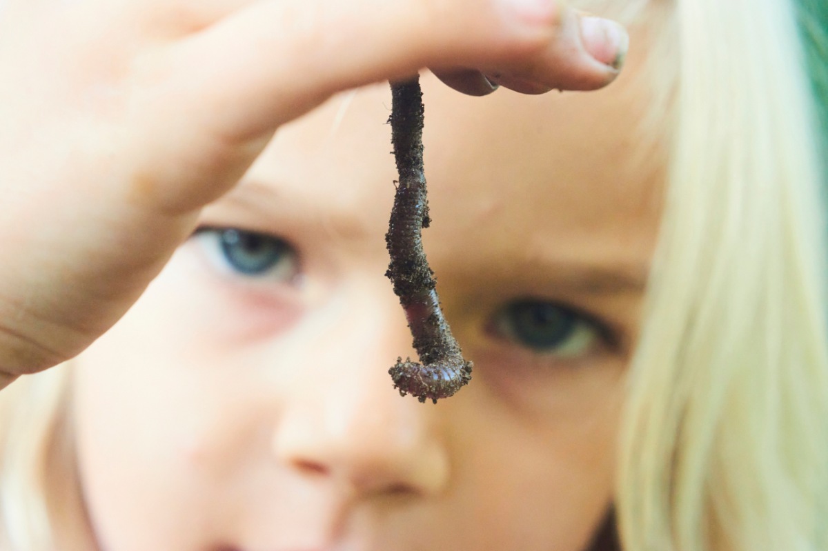 Is Dirt Just Worm Poop? Digging Up the Secrets of Soil