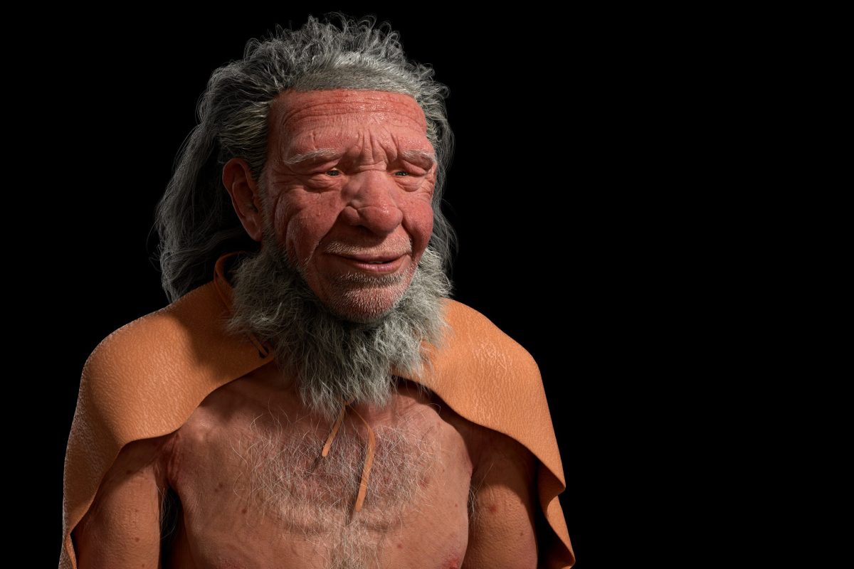 Neanderthals Also Had Superior Toolmaking Abilities, Not Just Humans